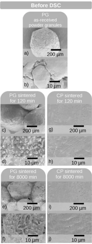 Figure 5. Typical SEM micrographs of PG and CP samples before  being subjected to DSC analysis: (a-b) non-pressed but sintered  PG samples; (c-f) sintered PG samples; (g-j) cold pressed (CP); 