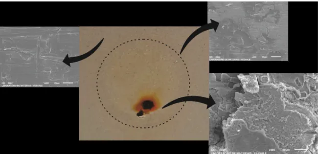 Figure 11. Images after EIS and SEM analysis on three diferent points of the sample DGEBA.