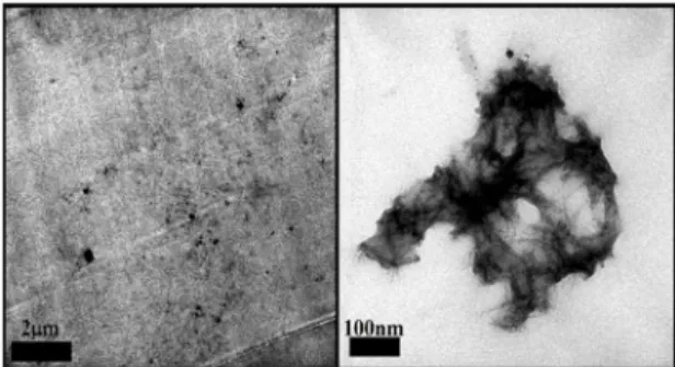 Figure 2. TEM analysis for the sample DGEBA/POSSocta.