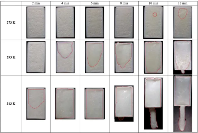Figure 5. Sample images during experiment at diferent onset temperatures. Sample positioning on picture is up = front position, down 