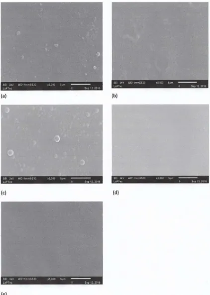 Figure 5: Scanning electron microscopy images of the aged ilms at C Cl  values of (a) 0%,  (b) 10%, (c) 20%, (d) 30%, (e) 40%.