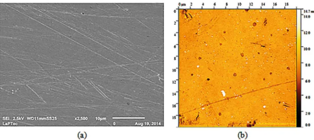 Figure 7 shows the secondary electron micrograph for  the bare stainless steel and the two dimensional topographic  proile of the glass plate, respectively used as substrates of  the samples submitted to morphological and topographical  analysis