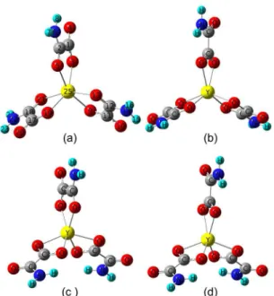 Figure 3. Optimized geometric structure of the Y(L)3: (a) Isomer 1  (more stable), (b) isomer 2, (c) isomer 3 and (d) isomer 4.