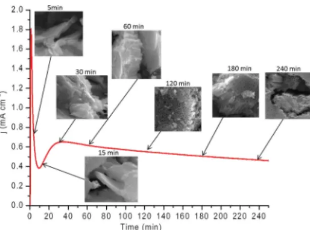 Figure 1 shows the current transient (I-t) curve obtained  during the maximum time period of the anodization process