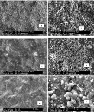 Figure 3. Secondary electron micrographs showing the surface of a  sample coated with nanostructured Cr 3 C 2 -25(Ni20Cr) powder (milled  for 8 hours): (a) before the E-O test; (b) detail of a region in (a),  showing the presence of splats on the coating s
