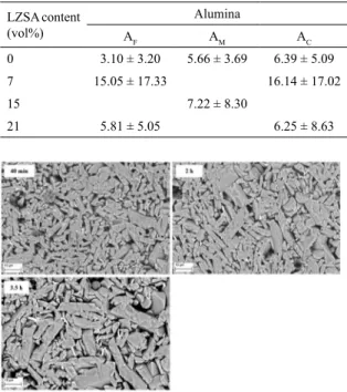 Figure 4. SEM observations of composite A C 21 sintered at 1,600  ºC and diferent holding times (40 min, d rel  = 0.95; 2 h, d rel  = 0.96; 