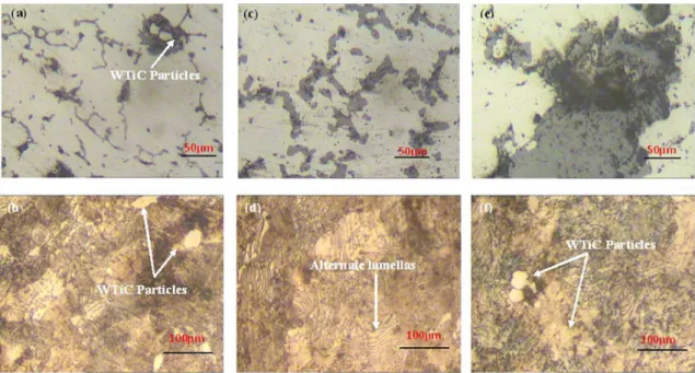 Figure 2. Optical micrographs of the as-sintered and hot extruded P/M alloy steels. (a) &amp; (b) Fe-1%C-1%W-1%Ti; (c) &amp; (d) Fe-1%C- Fe-1%C-2%W-1%Ti; (e) &amp; (f) Fe-1%C-4%W-1%Ti