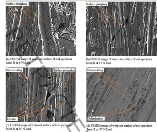Figure 4. Field emission scanning electron microscope images of worn out surface Steel-B test specimen at: 