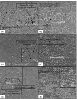 Figure 10. SEM micrographs of the steels tested through the thickness  in 1N H 2 SO 4 