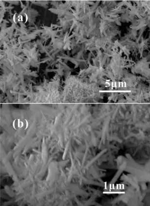 Figure 2. SEM image of the products with diferent magniications  synthesized from the hydrothermal conditions of 180 ºC for 24 h.
