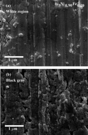 Figure 4. SEM micrograph of polycrystalline sample of Bi 3 Ni 0.90 Fe 0.10 for (a) white and (b) gray regions.