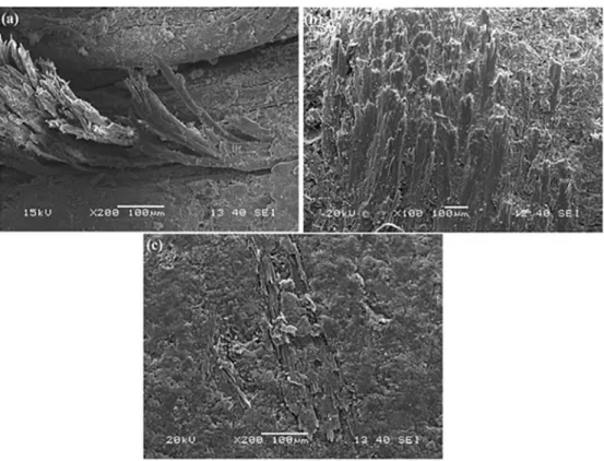 Figure 7. SEM images of (a) Untreated (b) Alkali treated and (c) Benzoyl chloride treated composite surfaces after three body abrasion  at 30 wt.% of iber loading subjected to Sliding distance of 50 m