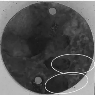 Figure 3: Mass loss percentage in relation to the initial mass.