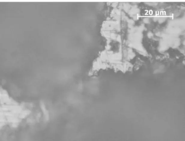 Figure 7 shows the corroded surface of a test body of the  steel ASTM 516 submitted to corrosion in the chimney