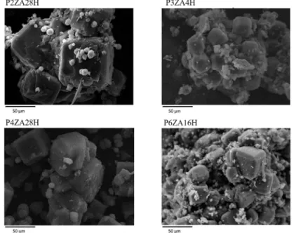 Figure 6: Micrographs of the synthesized samples from the statistical design.