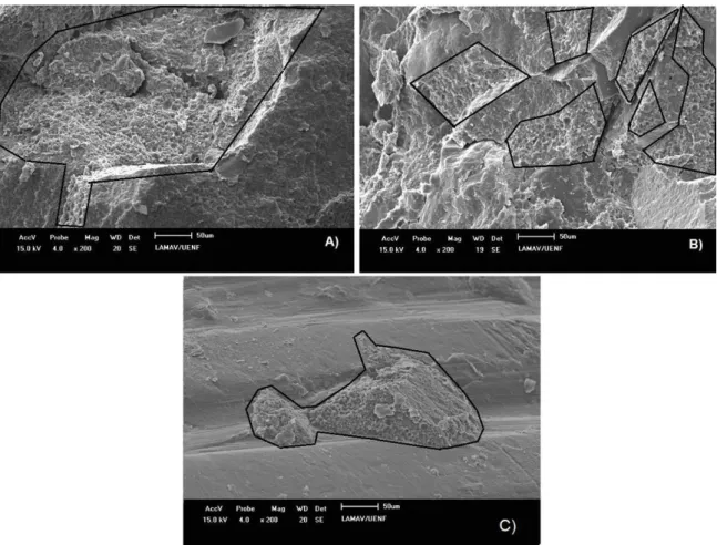 Figure 3: SEM micrographs with magniication of 200x for: A) P(3HB):ND(8:1); B) P(3HB):ND(12:1); C) P(3HB):ND(16:1).