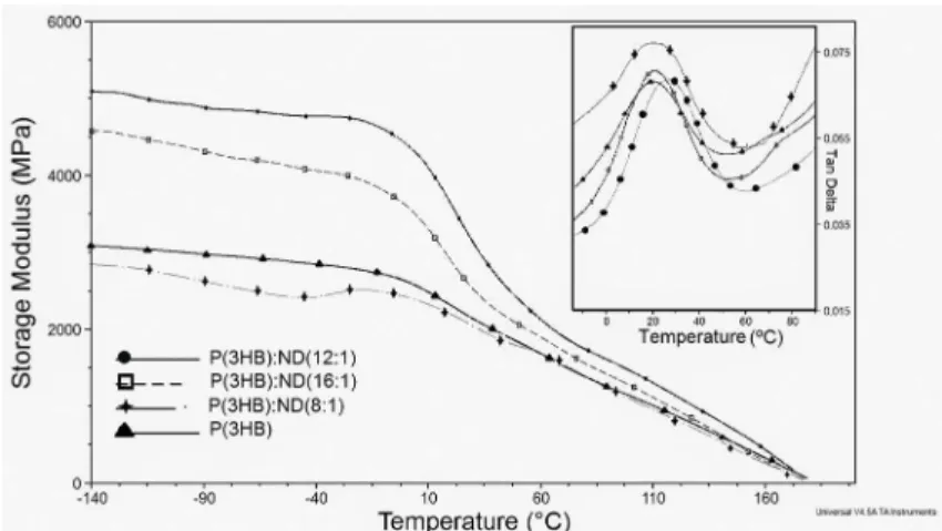 Figure 5: Storage modulus and tan delta per temperature curves for all formulations.