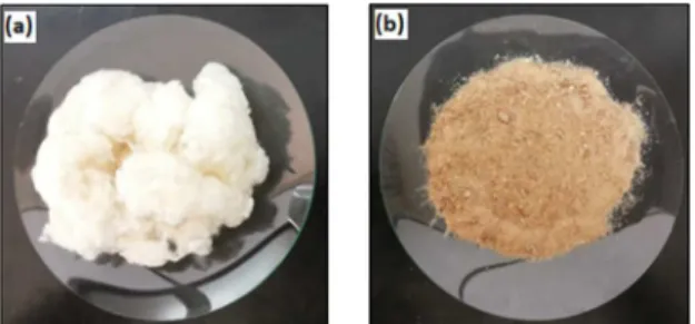 Figure 1 shows cotton linter and cotton nanoliter samples  used to prepare PCL compounds.