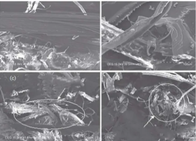 Figure 18: SEM micrographs of carbon/banana iber composites  subjected to tensile loading