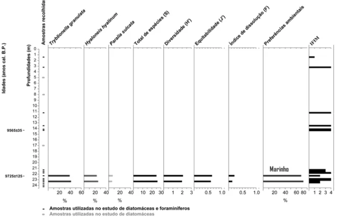 Fig. 2: Distribuição das espécies dominantes de diatomáceas ao longo da sondagem RF1. O total de espécies, diversidade,  equitabilidade e índice morfológico de dissolução são referentes às espécies de diatomáceas presentes nas amostras  estatisticamente vá