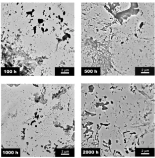 Figure 5: Ferritic-bainitic steel scanning electron micrographs at  600°C and 100, 500, 1000 and 2000 h of aging