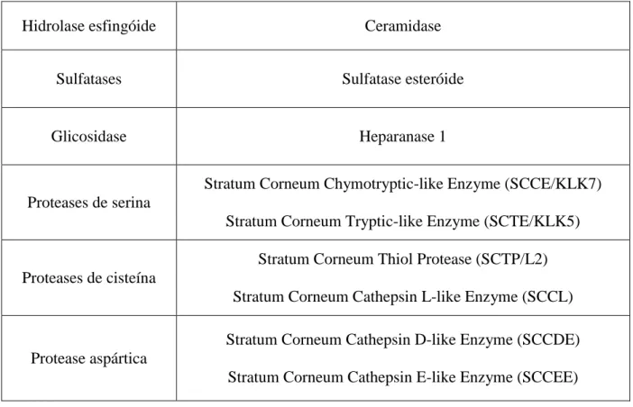Tabela 3 - Proteases envolvidas no processo descamativo (adaptado de (Milstone, 2004))