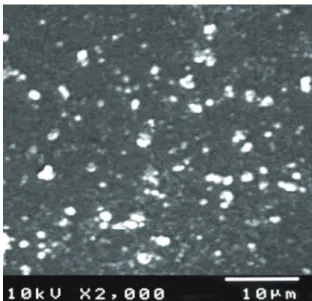 Figure 1: XRD spectrum of CoS thin ilms.