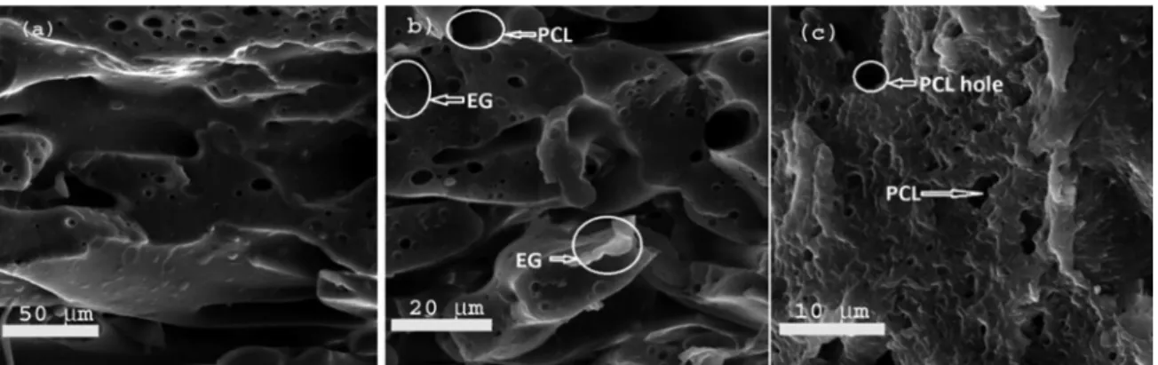 Figure 3: Etched scanning electron micrographs of a) EVA/PCL blend, b) 70/30 w/w EVA/PCL+ 5phr EG and (c) 70/30 w/w EVA/PCL+ 