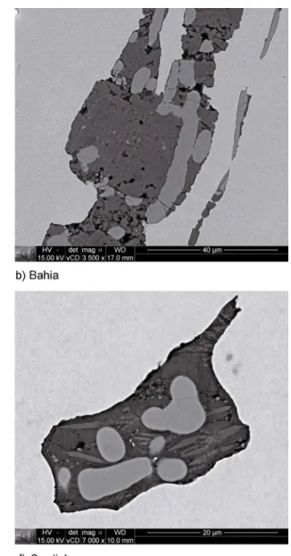 Figure 1: Typical microstructure of slag inclusions, featuring the presence of dendrites of wüstite, BEI, SEM: (a) Ipanema (Ip-135 sample); 