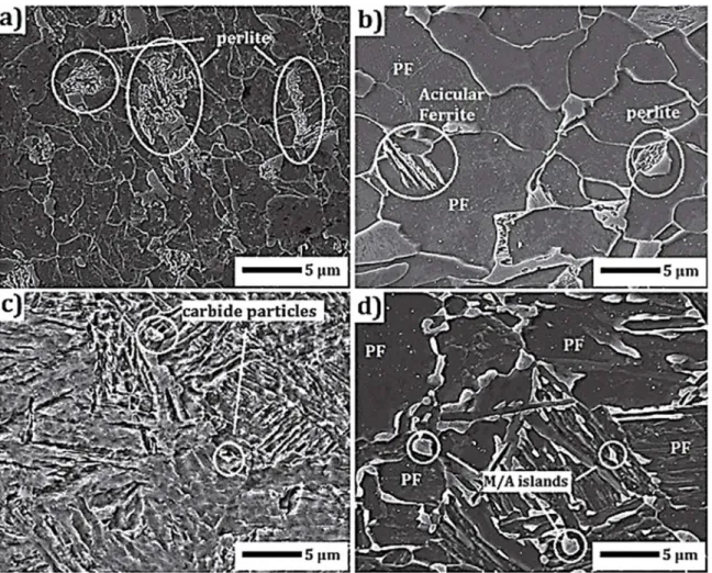 Figure 3:  Scanning electron micrograph of (a) AC, (b) ACN, (c) WQ350 and (d) WQ700 samples.