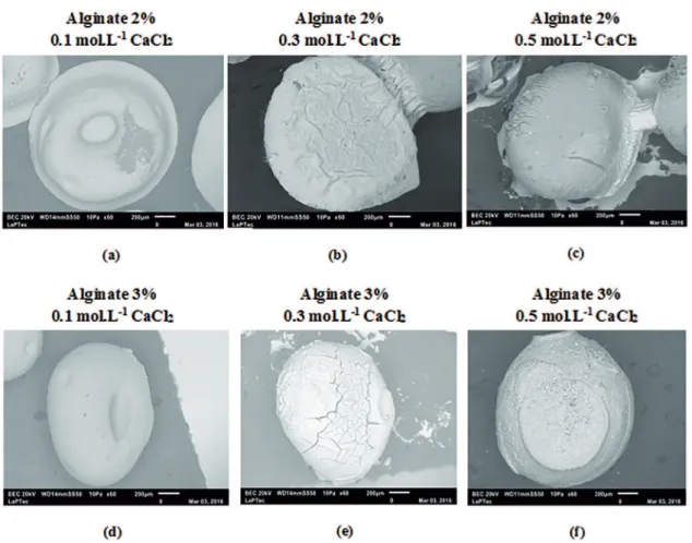 Figure 7: SEM micrographs of calcium alginate microparticles for diferent concentrations of CaCl 2  and alginate.