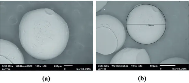Figure 8: SEM micrographs of calcium alginate microparticles for 3% (m/v) of alginate +0.1 mol.L -1  CaCl 2 + NaCl