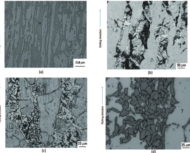 Figure 1: (a) AR Micrograph. Ferrite (α) and austenite (γ). Beraha etching. (b) Micrograph SDSS: Aged 0.5h at 800°C