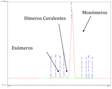 Gráfico 4. Cromatograma da Insulina por HPLC por exclusão de tamanhos e respectivos  produtos de degradação