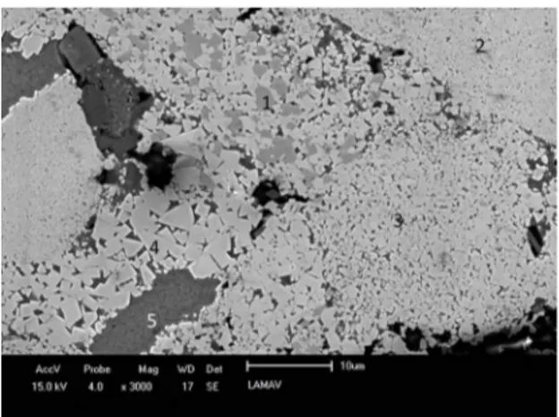 Figure 7. Structure of alloy REC. Particles of the WC0Co powder  with diferent characteristics such as grain size and composition.