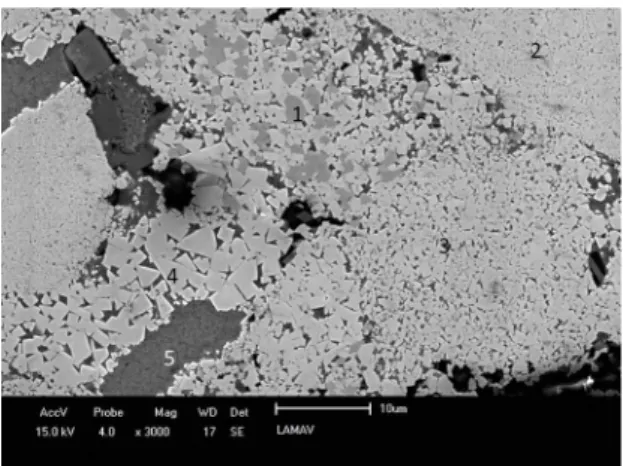 Figure 7. Structure of alloy REC. Particles of the WC0Co powder  with diferent characteristics such as grain size and composition.