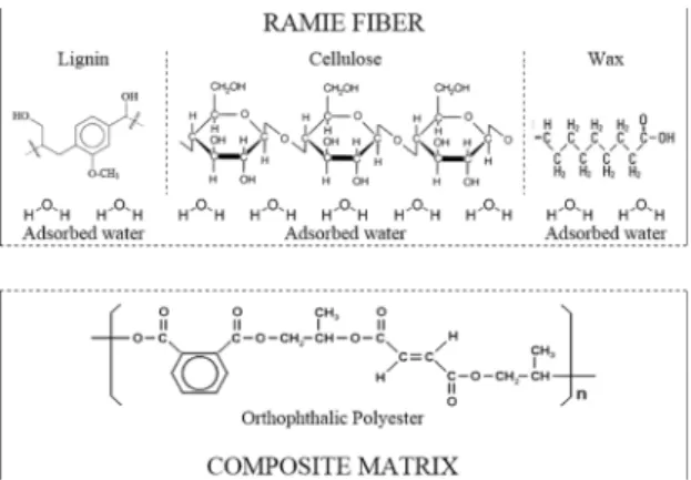 Figure 2. Statistical distribution of length and diameter of the lot  of ramie ibers used in this work.
