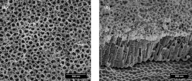 Figure 1a brings a SEM micrograph of CP-Ti after  anodization in the conditions aforementioned