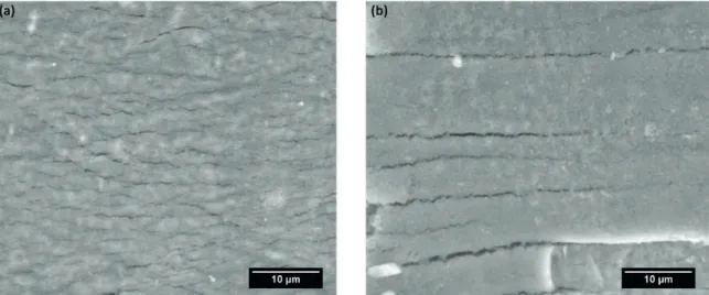 Figure 6. SEM micrographs of the nanotubes layer after the fatigue tests: (a) annealed at 450°C (anatase structure) and (b) annealed at  650°C (rutile structure).