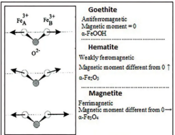 Figure 2. Flowchart of the tests and the preparation stage carried  out for each sample.