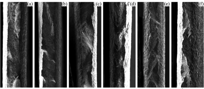 Figure 5. SEM images on a macro scale of the tensile test fracture surface of AISI 304 samples tested at 25ºC (a), 50ºC (b), 75ºC (c),  100ºC (d), 125ºC (e) and 150ºC (f).