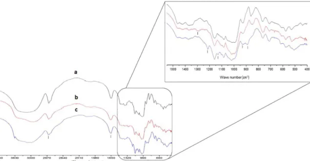 Figura 2. FTIR absorption spectra of samples (a) ST (b) ST-TM and (c) ST-TP.