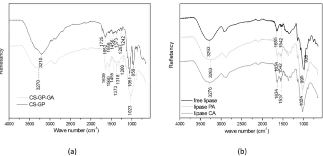 Figure 3. (a) Fourier Transformed Infrared Specta of (black) chitosan-glycerol phosphate support, and (grey) chitosan-glycerol phosphate  crosslinked with glutaraldehyde