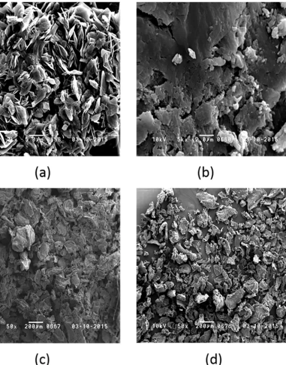 Figure 4. Scanning Electron Microscopy images of (a) CS-GP, (b) CS-GP-GA, (c) lipase immobilized by physical absorption (PA) and  (d) lipase immobilized by covalent attachement (CA).