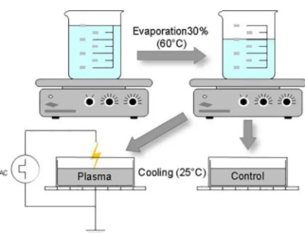 Figure 2. Experiment 2 scheme.