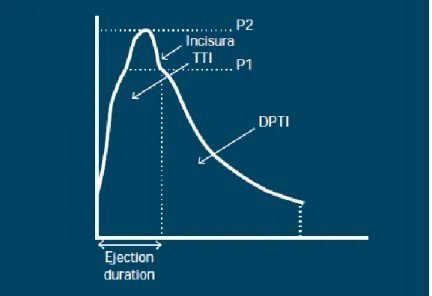 Fig. 4 Onda de pressão aórtica. P1- primeira infleção sistólica P2- pico sistólico TTI- índice do tempo de  pressão sistólica DPTI- índice de tempo de pressão diastólica (69) 