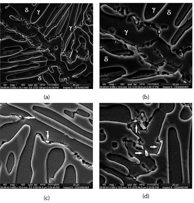 Figure 5. SEM images, after DL-EPR test in the specimen aged at 475 ºC for 12 h.