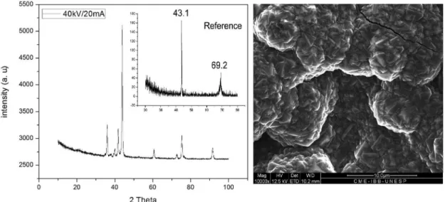 Figure 6. X-ray difraction spectra obtained from the coating (external) and a natural diamond (internal)