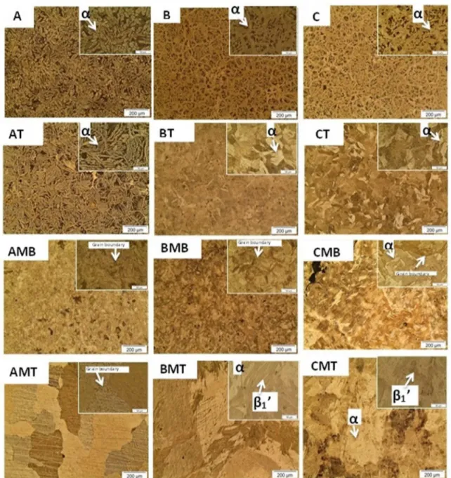 Figure 7. Microstructures of all the studied non-modiied and modiied bronze alloys (Cu-Al-Ni SMA).
