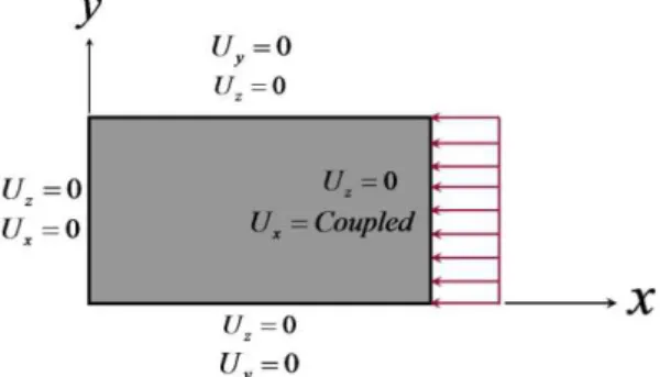 Figure 3 Boundary and loading conditions on the model.